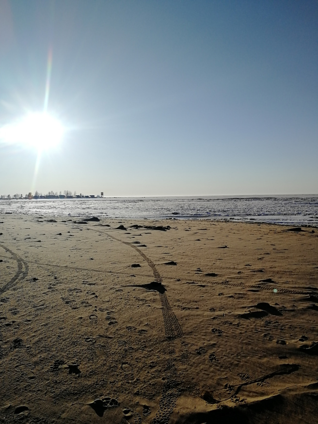 IMG_20190412_190251.jpg